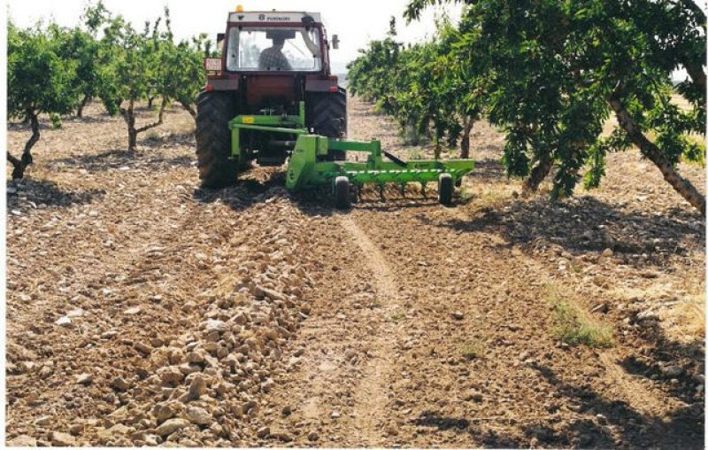 Sonstige Bodenbearbeitungsgeräte des Typs Conpexim Steinrechen 3 m---www.conpexim.at--NEU, Neumaschine in Apetlon (Bild 7)