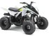 ATV & Quad des Typs Yamaha YFM90R BEGRÆNSET ANTAL, Gebrauchtmaschine in Havndal (Bild 2)