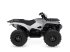 ATV & Quad des Typs Yamaha YFM700 GRIZZLY EPS ALU, Gebrauchtmaschine in Havndal (Bild 1)