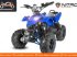 ATV & Quad des Typs Sonstige Divers Kinderquad 50cc 4 takt, Neumaschine in Doetinchem (Bild 9)