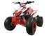 ATV & Quad des Typs Sonstige Divers Kinderquad 50cc 4 takt, Neumaschine in Doetinchem (Bild 1)