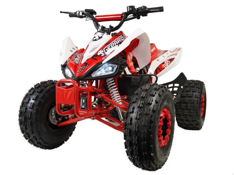 ATV & Quad des Typs Sonstige Divers Kinderquad 50cc 4 takt, Neumaschine in Doetinchem (Bild 1)