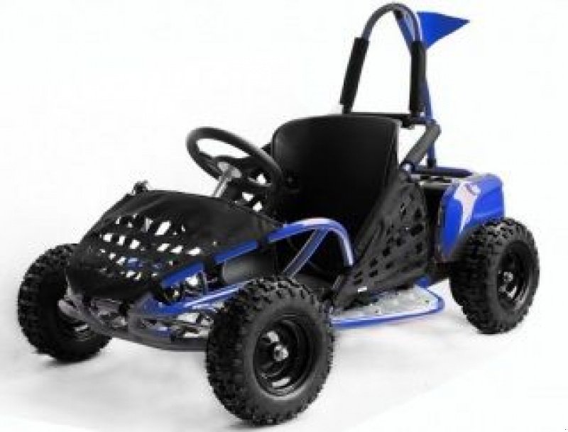 ATV & Quad des Typs Sonstige Divers Elektrische Go-Kart, Neumaschine in Doetinchem (Bild 1)