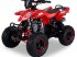 ATV & Quad des Typs Sonstige Divers Kinderquad 125cc 4 takt, Neumaschine in Doetinchem (Bild 8)