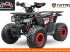 ATV & Quad des Typs Sonstige Divers Quad 150cc, Neumaschine in Budel (Bild 4)