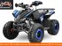 ATV & Quad des Typs Sonstige Divers Quad 150cc, Neumaschine in Budel (Bild 3)