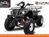 ATV & Quad des Typs Sonstige Divers Quad 150cc, Neumaschine in Budel (Bild 5)