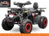 ATV & Quad des Typs Sonstige Divers Quad 150cc, Neumaschine in Budel (Bild 7)