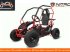 ATV & Quad des Typs Sonstige nitromotors nitromotors GO-Kart 80cc 4takt, Neumaschine in Budel (Bild 10)