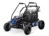 ATV & Quad des Typs Sonstige Divers Elektrische GO-Kart quad, Neumaschine in Budel (Bild 1)