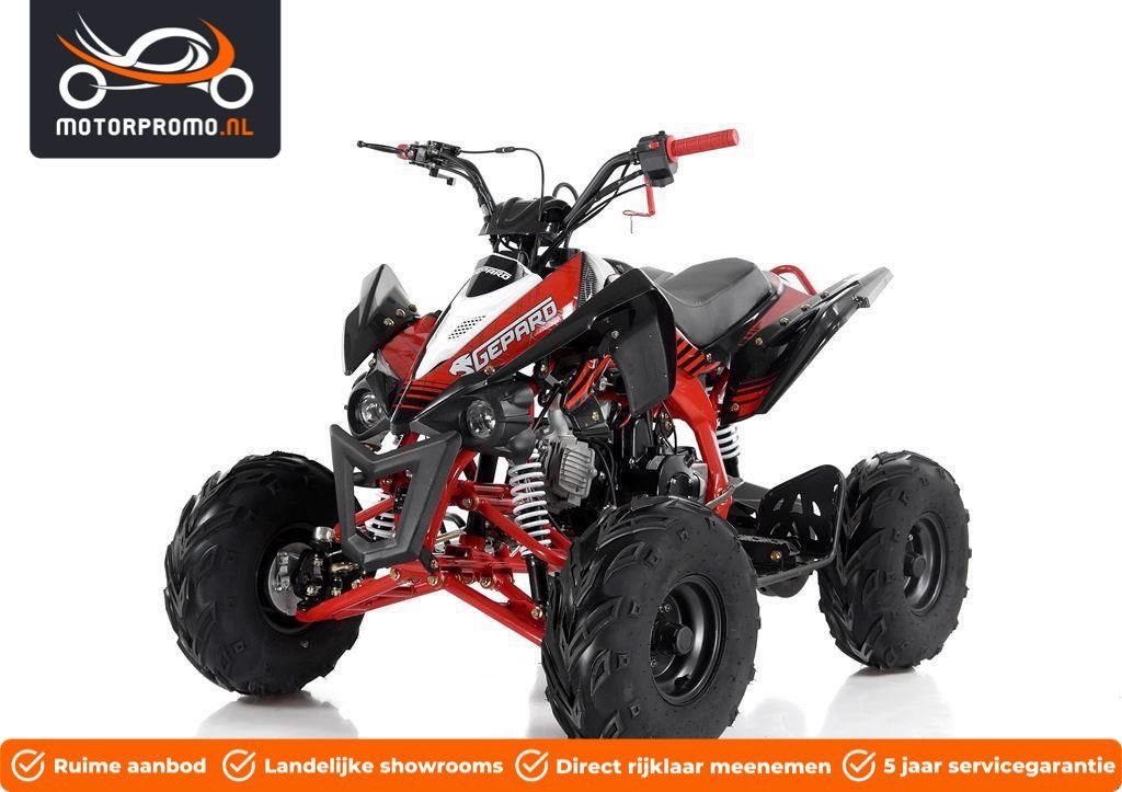 ATV & Quad des Typs Sonstige Divers Divers Kinderquad 110cc 125cc 4takt, Neumaschine in beesd (Bild 1)