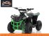 ATV & Quad des Typs Sonstige Divers Divers Kinderquad 110cc 4takt quad, Neumaschine in HARDENBERG (Bild 8)