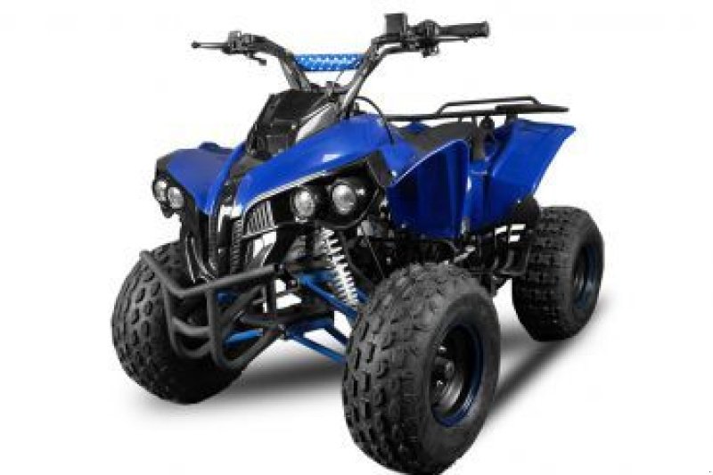 ATV & Quad des Typs Sonstige kinderquad 125cc 4takt, Neumaschine in HARDENBERG (Bild 7)