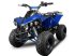 ATV & Quad des Typs Sonstige kinderquad 125cc 4takt, Neumaschine in HARDENBERG (Bild 7)