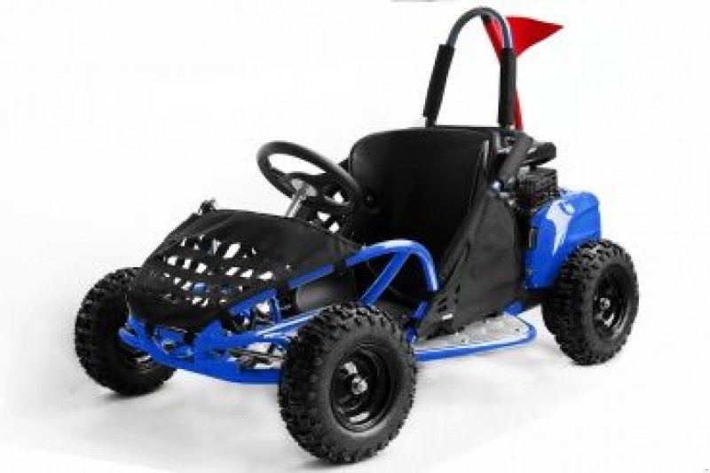 ATV & Quad des Typs Sonstige Go-Kart 80cc 4takt quad, Neumaschine in HARDENBERG (Bild 2)